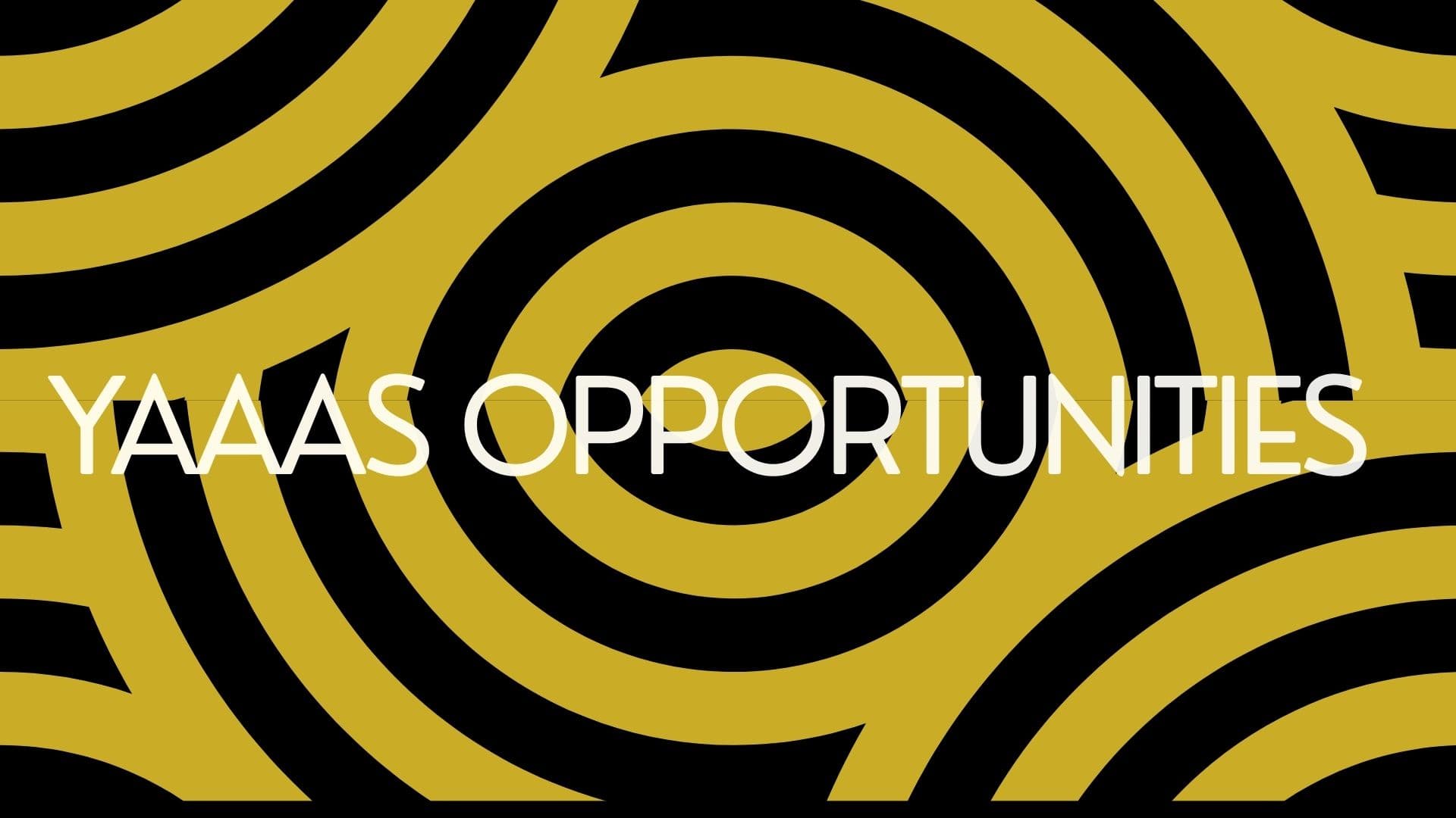 Opportunities For The Arts